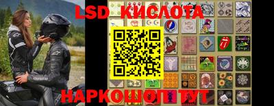 PSILOCYBIN Заводоуковск
