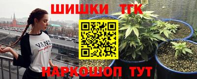 PSILOCYBIN Заводоуковск