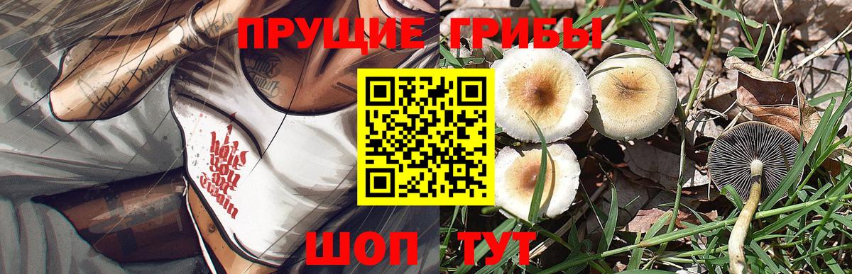 Галлюциногенные грибы GOLDEN TEACHER Лесозаводск